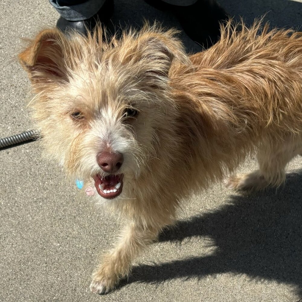 Meet your Posher, Scott